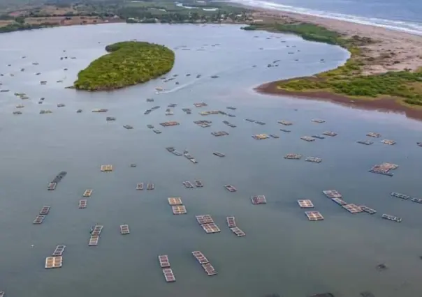 Nayarit, conoce la capital del ostión, una experiencia imperdible entre lagunas y canales
