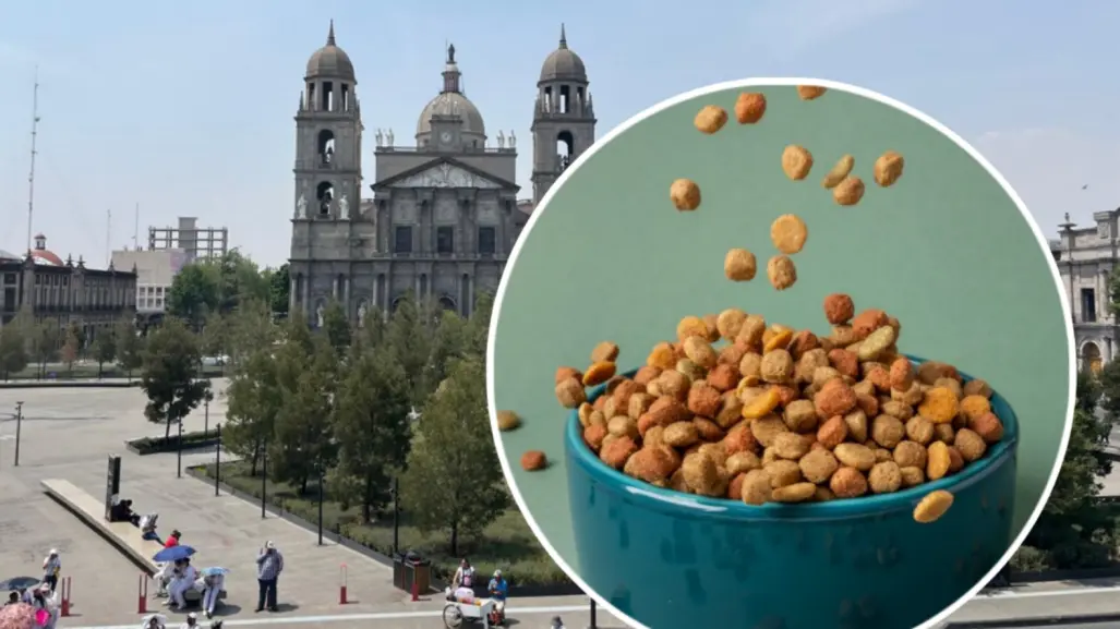¡Adiós al olor a croqueta en Toluca! Empresa emisora de malos olores instalará filtros
