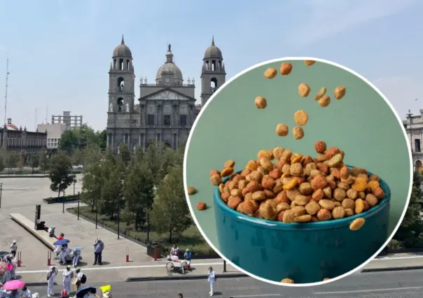 ¡Adiós al olor a croqueta en Toluca! Empresa emisora de malos olores instalará filtros