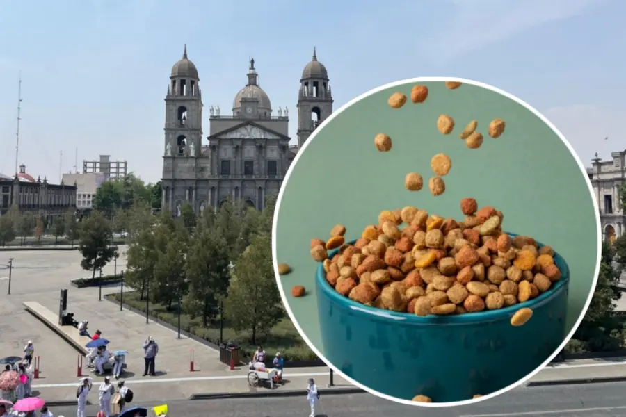 ¡Adiós al olor a croqueta en Toluca! Empresa emisora de malos olores instalará filtros