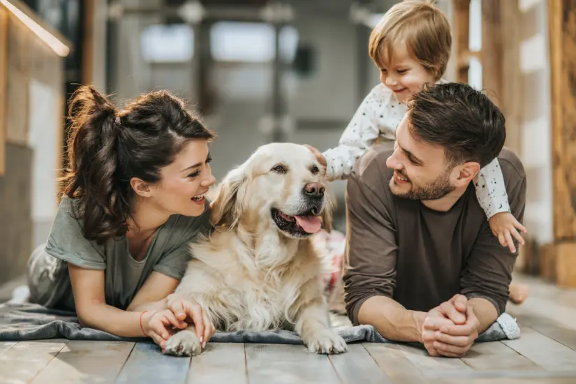 Los estudios revelan que la felicidad de los perros requiere más que simples juegos y paseos, según los veterinarios. Foto: Canva