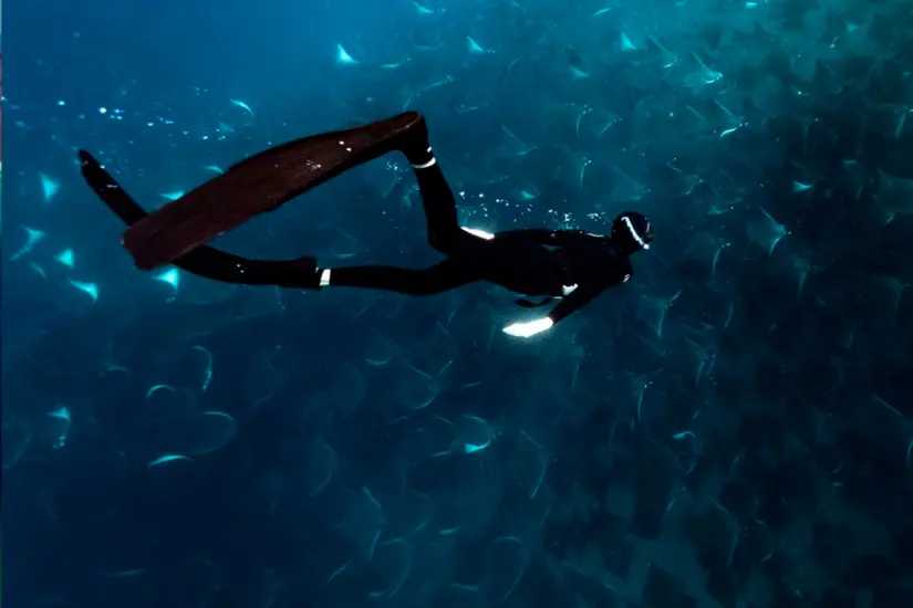 Buceo en Espíritu Santo. Foto: Baja Adventure.