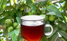 Té de hojas de guayaba: ¿para qué sirve y cómo se prepara?