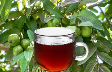 Té de hojas de guayaba: ¿para qué sirve y cómo se prepara?