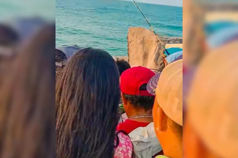 La captura del espécimen generó expectación en las escolleras de playa Miramar. Foto: Axel Hassel