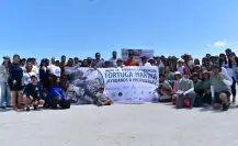 ¿Cuándo inicia la temporada de anidación de tortugas marinas en Yucatán?