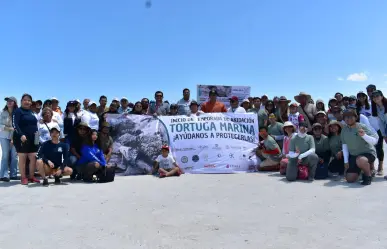 ¿Cuándo inicia la temporada de anidación de tortugas marinas en Yucatán?