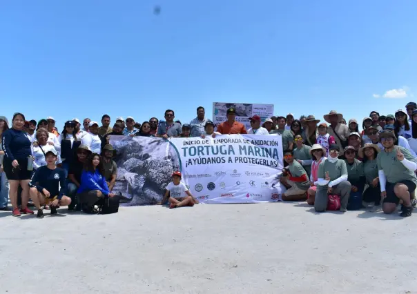 ¿Cuándo inicia la temporada de anidación de tortugas marinas en Yucatán?