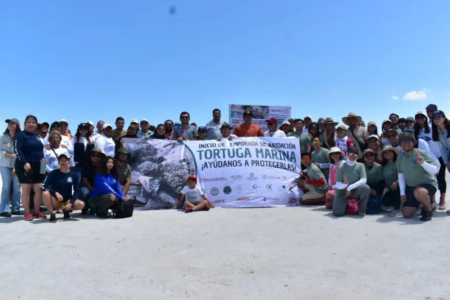 ¿Cuándo inicia la temporada de anidación de tortugas marinas en Yucatán?