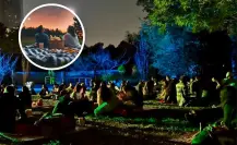Picnic Nocturno en CDMX, prepara la canasta de comida para comer a la luz de la luna