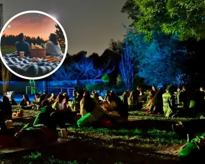 Picnic Nocturno en CDMX, prepara la canasta de comida para comer a la luz de la luna