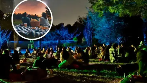 Picnic Nocturno en CDMX, prepara la canasta de comida para comer a la luz de la luna