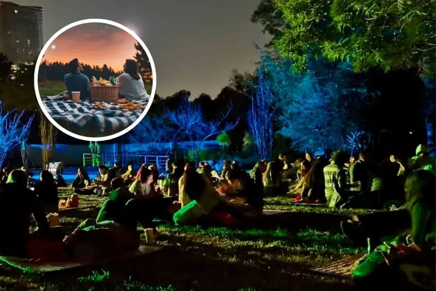 Picnic Nocturno en CDMX, prepara la canasta de comida para comer a la luz de la luna