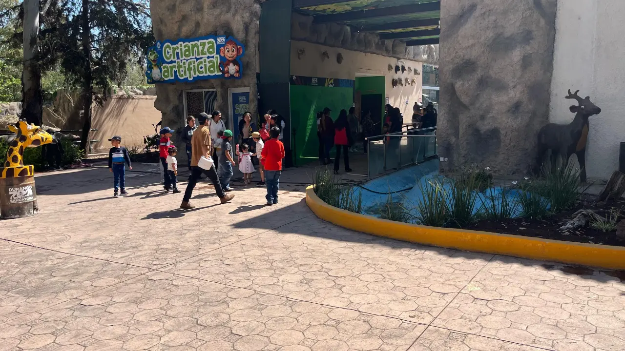 Este Día del Niño, el zoológico de Durango recibió muchos grupos escolares. Foto: Jesús Carrillo.