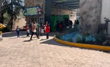 Así se vivió el Día del Niño 2025 en el Zoológico de Durango