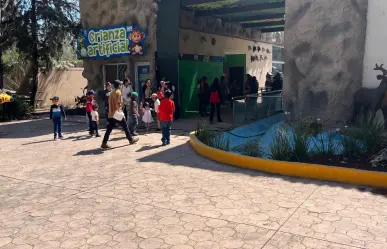 Así se vivió el Día del Niño 2025 en el Zoológico de Durango