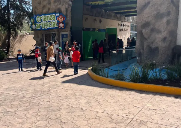 Así se vivió el Día del Niño 2025 en el Zoológico de Durango