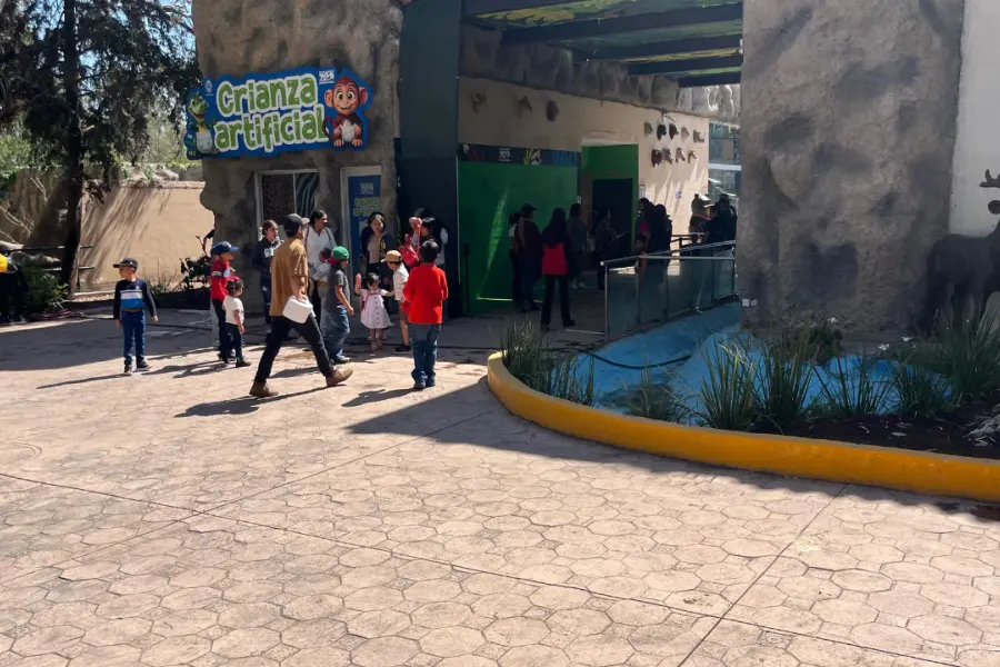 Así se vivió el Día del Niño 2025 en el Zoológico de Durango