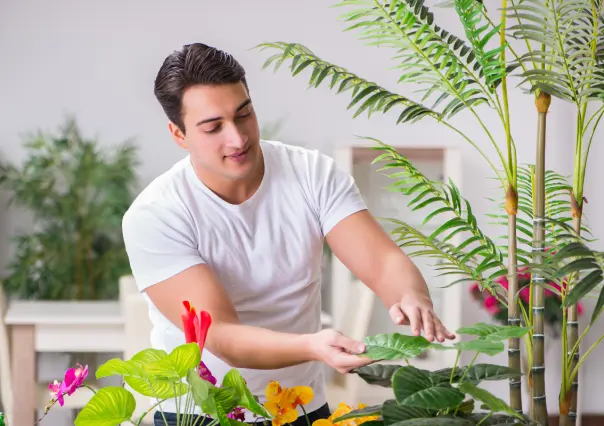 5 trucos para que tus plantas estén sanas y bellas en primavera