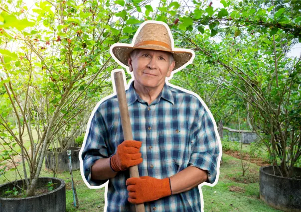 Árboles nativos de Coahuila: 3 frutales en Saltillo para plantar en macetas