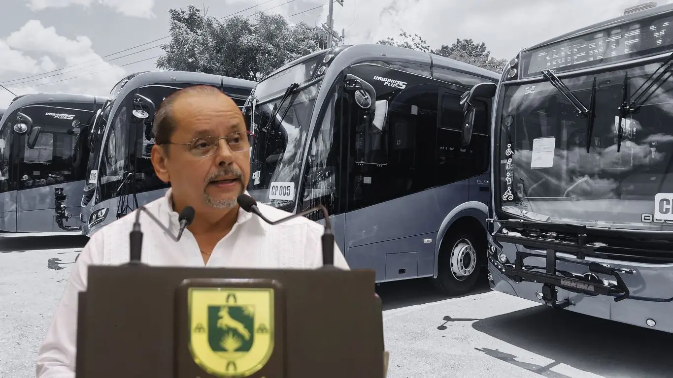 ¿Por qué se presentaron estas denuncias?. Foto: Canva / ATY