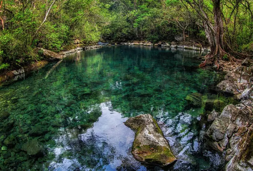 La Reserva de la Biosfera El Cielo, ubicada en Tamaulipas, fue galardonada como el Mejor Destino. Foto: Gobierno del Estado