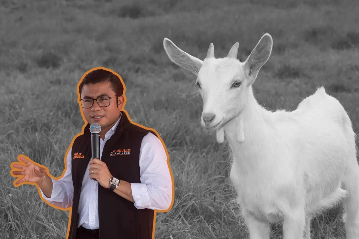 El alcalde Félix Arratia, informó sobre la detención de personas implicadas en un caso de maltrato animal. Foto: CANVA / Félix Arratia