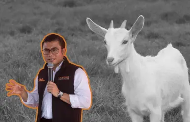 Gobierno de Juárez condena maltrato animal y detienen a implicados
