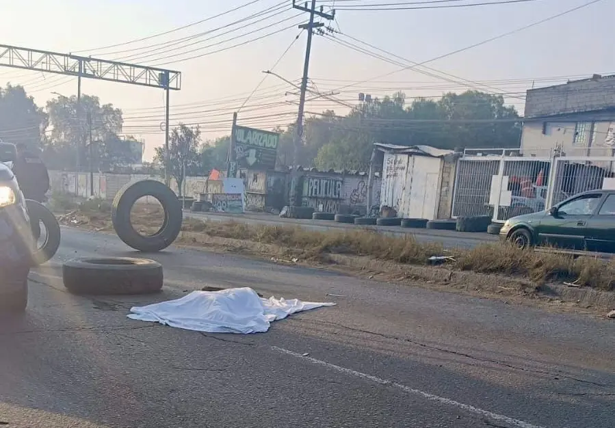 La víctima, que presuntamente padecía una enfermedad, quedó tendida en los carriles centrales. Imagen: Cortesía