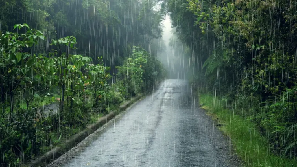 Lluvias intensas y posibles torbellinos en Tamaulipas este 1 de mayo