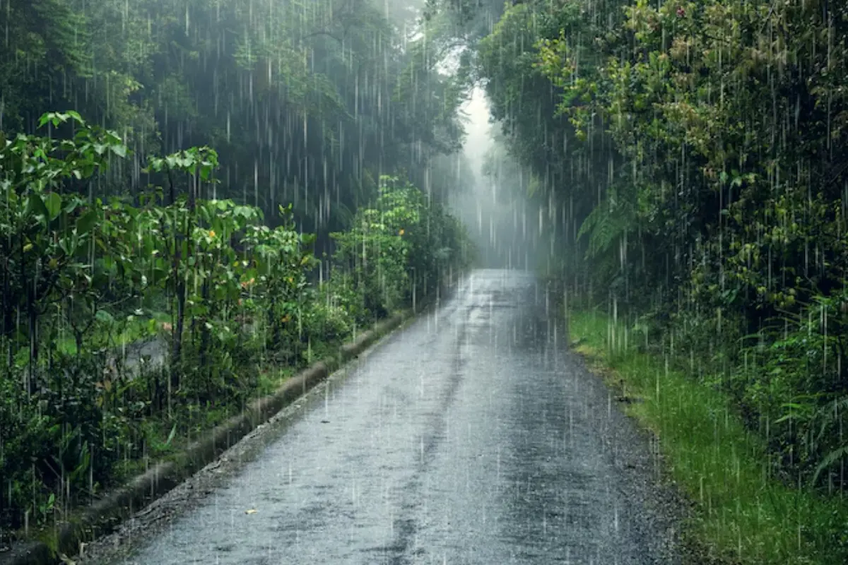 Lluvias intensas se pronostican en diversas regiones de Tamaulipas. Foto: Freepik