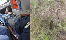 Alerta por mordedura de víbora a hombre que cuidaba su ganado en ejido Santa Anita