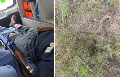 Alerta por mordedura de víbora a hombre que cuidaba su ganado en ejido Santa Anita
