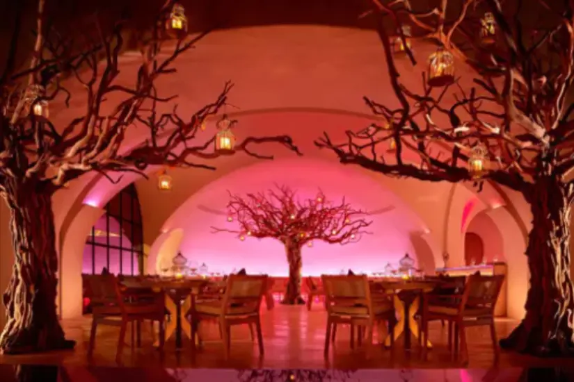 Foto: Arbol.