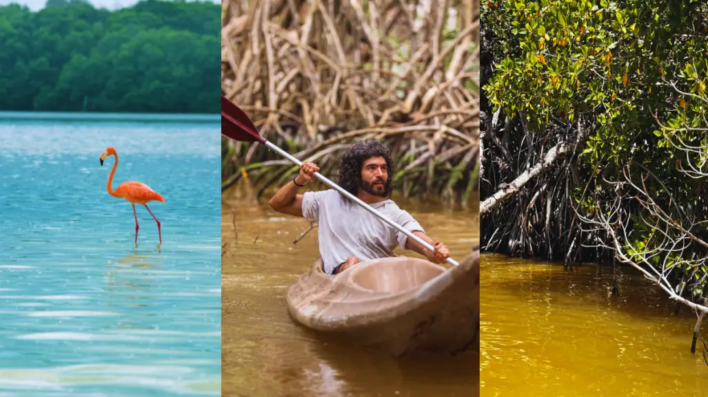 ¿Cuál es la importancia de la Reserva de la Biósfera Ría Celestún para el ecosistema?