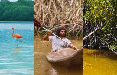 ¿Cuál es la importancia de la Reserva de la Biósfera Ría Celestún para el ecosistema?