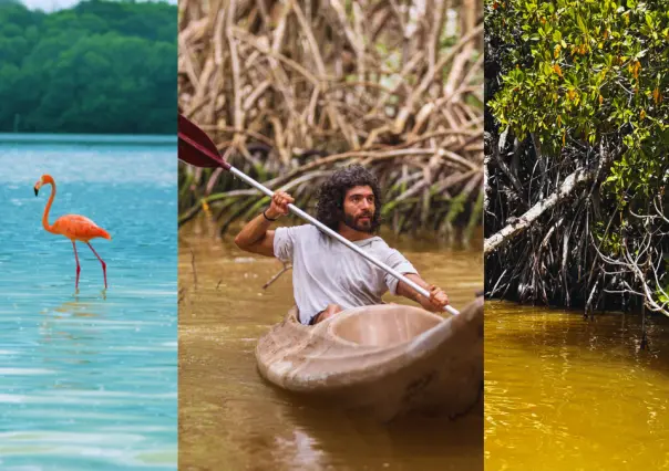 ¿Cuál es la importancia de la Reserva de la Biósfera Ría Celestún para el ecosistema?