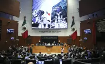 Senado autoriza a personal de CFE, Pemex y SAT portar armas