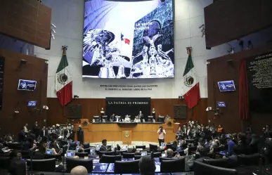 Senado autoriza a personal de CFE, Pemex y SAT portar armas