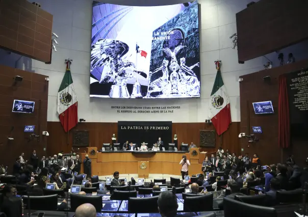 Senado autoriza a personal de CFE, Pemex y SAT portar armas