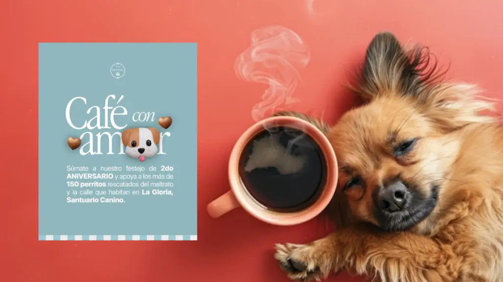 Así puedes disfrutar de un café y ayudar a un refugio de animales de Tamaulipas