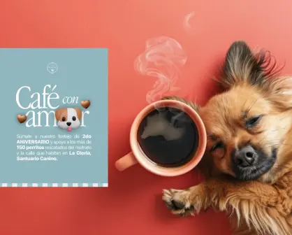 Así puedes disfrutar de un café y ayudar a un refugio de animales de Tamaulipas