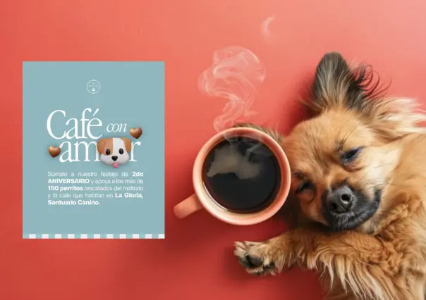 Así puedes disfrutar de un café y ayudar a un refugio de animales de Tamaulipas