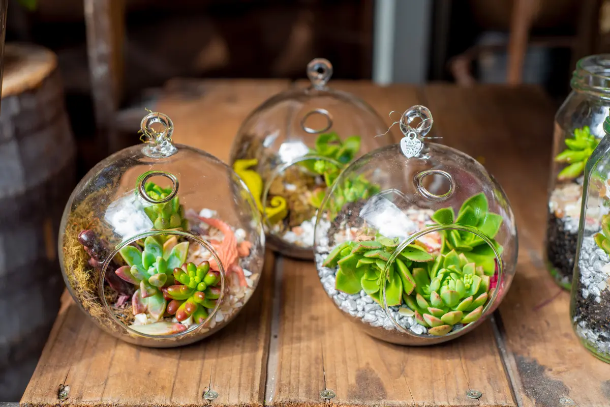 El terrario es una de las alternativas para la decoración en el hogar. Foto: Canva