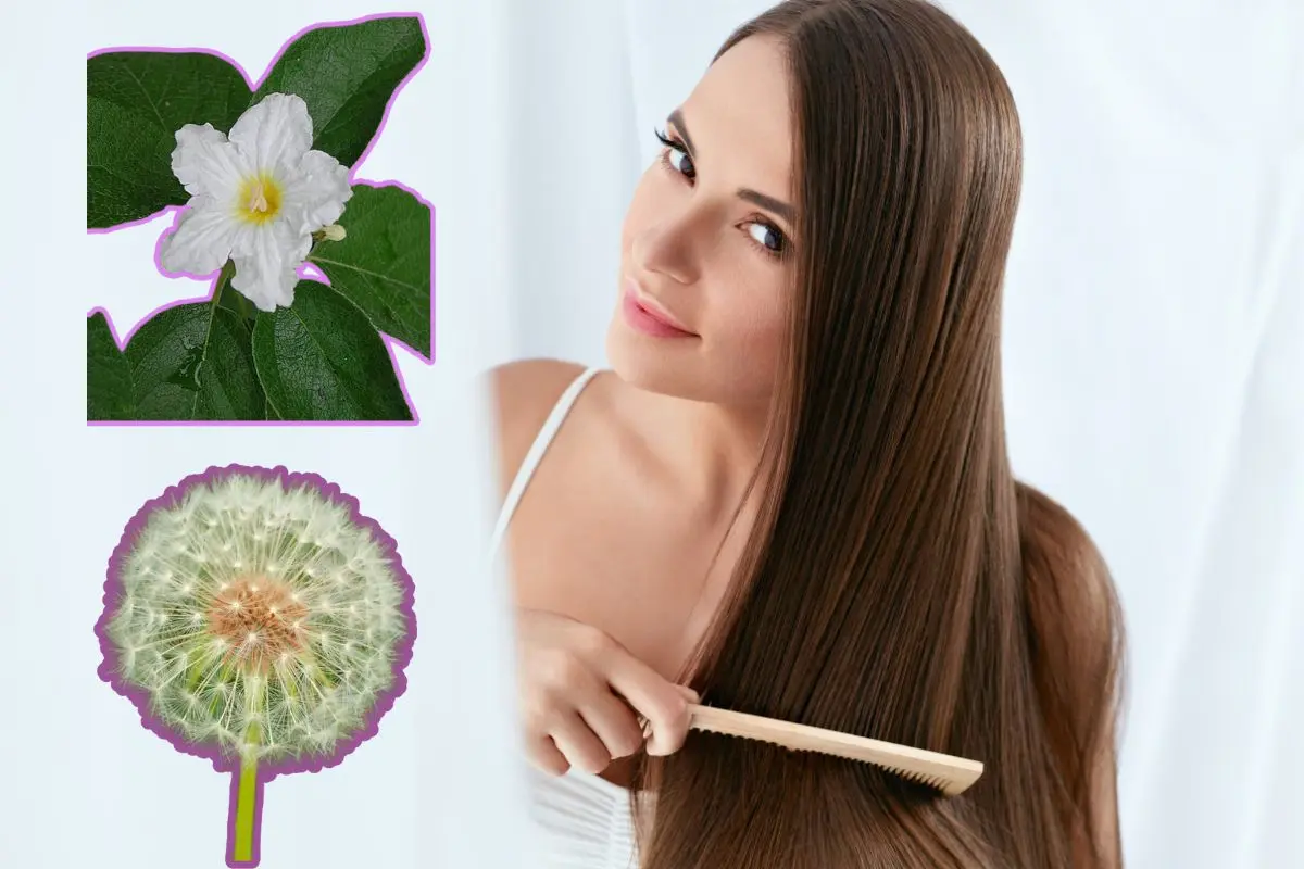 La pérdida de cabello es una preocupación común que afecta tanto a hombres como a mujeres Foto: Canva