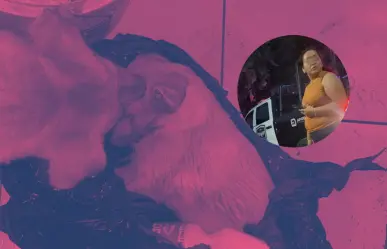VIDEO I Arrestan a mujer por asesinar a su cachorro con cloro