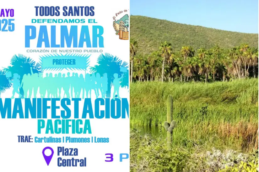 Foto: Azul Baja / Facebook