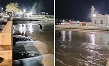 ¿Por qué el mar se aleja de las costas de Yucatán? Esto se sabe