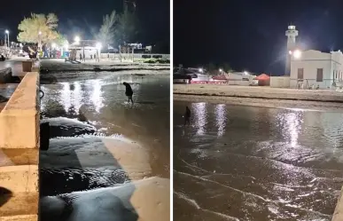 ¿Por qué el mar se aleja de las costas de Yucatán? Esto se sabe