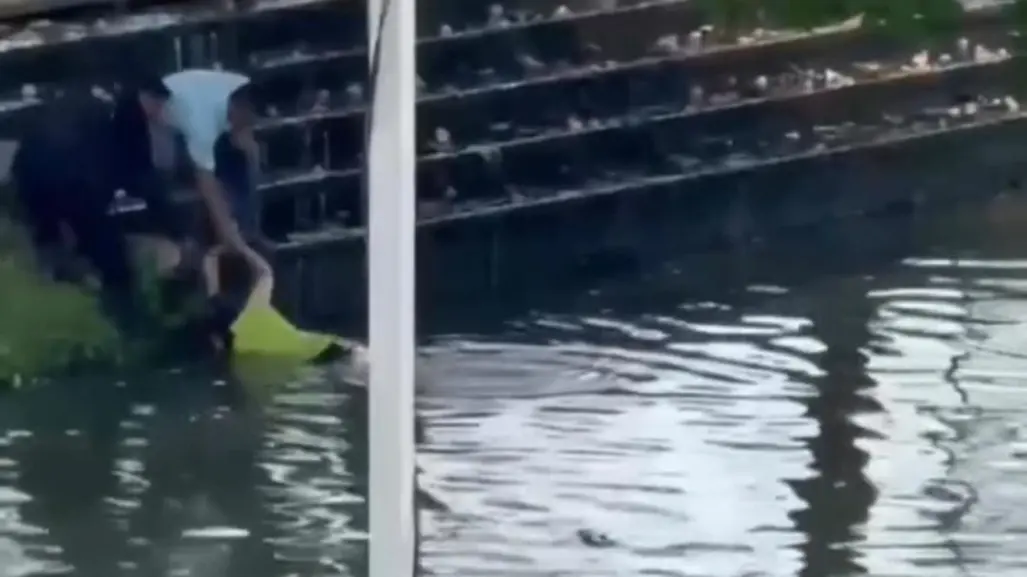 VIDEO | Mujer es salvada de ser devorada por un cocodrilo en Villahermosa, Tabasco